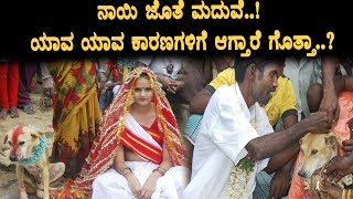 Watch Reason behind Marriage with dogs | Kannada Top Secrets | Kannada | Top Kannada TV Video