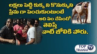 Watch Realdog attacksonhumancaught|à°²à°•à±à°·à°²à± à°ªà±†à°Ÿà±à°Ÿà°¿ à°•à±Šà°¨à±à°•à±à°•à±à°¨à°¿ à°ªà±à°°à±‡à°®à°—à°¾ à°šà±‚à°¸à±à°•à±à°‚à°Ÿà±à°¨à±à°¨ à°•à±à°•à±à°• à°à°®à°¿ à°šà±‡à°¸à°¿à°‚à°¦à±‹ à°šà±à°¡à°‚à°¡à°¿ Video