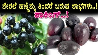 Watch Amazing Health Benefits of Jamun Fruit | Health Tips | Top Kannada TV Video