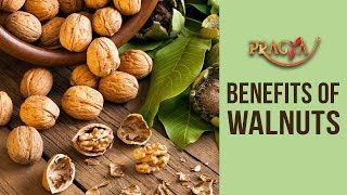 Watch Benefits Of Walnuts For Brain- Dr. Vibha Sharma (Ayurveda & Panchkarma Expert) Video