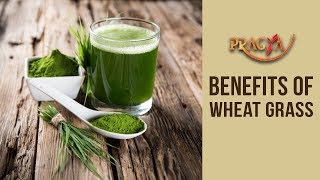Watch Health Benefits Of Wheat Grass- Dr. Vibha Sharma (Ayurveda & Panchkarma Expert) Video
