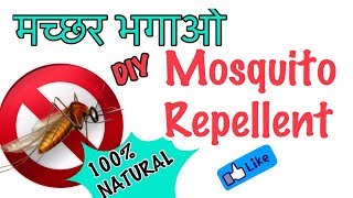 Watch DIY Natural Mosquito Repellent | Homemade Natural Mosquito Repellent | JSuper Kaur Video