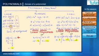 Watch Types and Zeroes of Polynomials Video