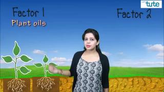 Watch Why does Rain Smell Video