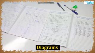 Watch Science Paper Presentation Tips Video