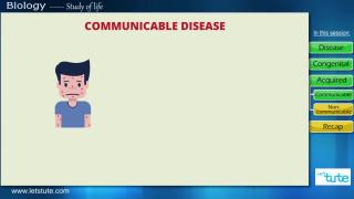 Watch Human Health and Disease Video
