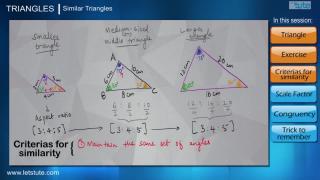 Watch Similar Triangles Video