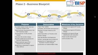 Watch SAP Implementation Project Management  Introduction Session Video
