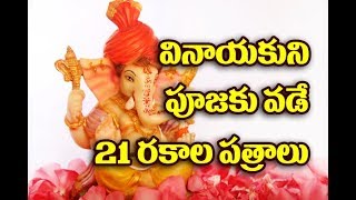 Watch à°µà°¿à°¨à°¾à°¯à°•à±à°¨à°¿ à°ªà±‚à°œà°•à± à°µà°¾à°¡à±‡ 21 à°°à°•à°¾à°² à°ªà°¤à±à°°à°¾à°²à± (à°ªà°¤à±à°°à°¿)Vinayaka Chavithi Pooja Vidhanam in Telugu||TopTeluguTv Video