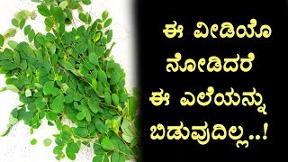 Watch Health Benefits of drumstick vegetable leaves | Kannada Health TV | Top Kannada TV Video