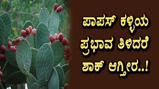 Watch à²ªà²¾à²ªà²¾à²¸à³ à²•à²³à³à²³à²¿à²¯ à²‰à²ªà²¯à³‹à²—à²µà³‡à²¨à³ à²—à³Šà²¤à³à²¤à²¾ | Health Benefits of Papaskalli | Top Kannada TV Video