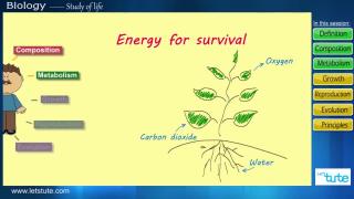 Watch Introduction to Biology | Letstute Video