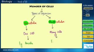Watch Introduction to Cell | Letstute Video