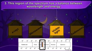 Watch Basics of Light | Quiz Time | Letstute Video