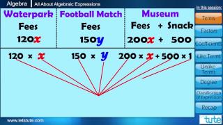 Watch All about Algebraic Expression | Letstute Video