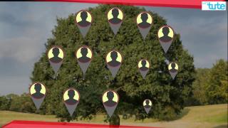 Watch Oak Tree Around You | Value Education | Letstute Video