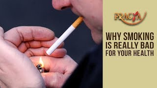 Watch Why SMOKING Is Really BAD For Your Health | Dr. Rajat Jhamb (Consultant Physician) Video