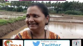 Watch MACHINE FARMING ; AGRICULTURE MINISTRY'S NEW INNOVATION Video