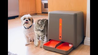 Watch 10 Things Your Cat Wants On Amazon Video