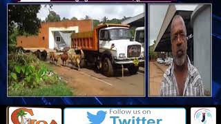 Watch LOCALS DEMAND SOLUTION FOR HEAVY TRAFFIC IN PERNEM AREA DUE TO RISING NO. OF STRAY CATTLES Video
