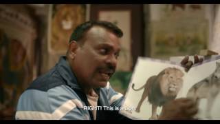 Watch A brand new T20 team - Looking for a logo | Amazon New Ad Series 2017 Video