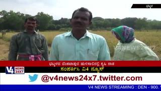 Watch Agricultural Damage by Wild Animals in Batkala. Video