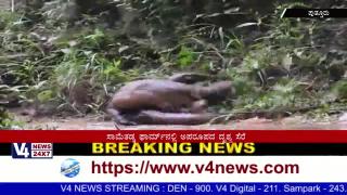 Watch Captured the Natures Very Rare Imagery(Aparupada) in Putturu. Video
