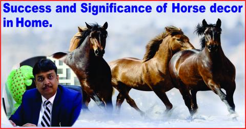 Watch Success and Significance of Horse decor in Home. Video
