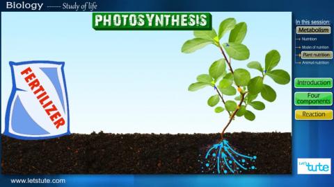 Watch Nutrition in plants (Photosynthesis) | Letstute Video