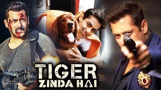 Watch Salman' Race 3 First Look Revealed, Salman STOPS Tiger Zinda Hai SHoot For A Dog Video