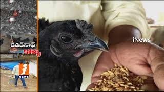 Watch Kadaknath Kombadi Poultry Farming Brings Profits To Farmer at Sathupally | Success Story | iNews Video