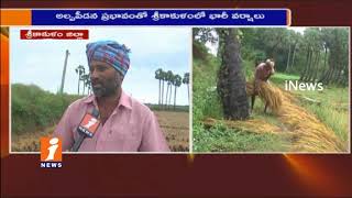 Watch Paddy Crops Damaged Due To Unseasonal Rains in Srikakulam | Farmers Seek Govt Help | iNews Video