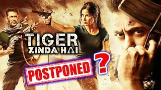 Watch Tiger Zinda Hai Will Not Release In December? - Don't Believe In Rumours Video