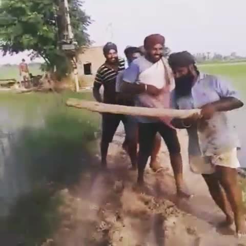 Watch Field Marriage Video
