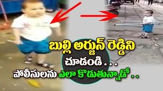 Watch Funny Videos 2017 | Viral Videos Video
