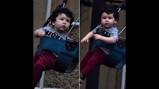 Watch Taimur Ali Khan looks endearing as he plays on a swing Video