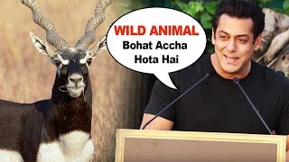 Watch Salman Khan FUNNY COMMENT | Wild Animal Bohot Gentle Hota Hai Video