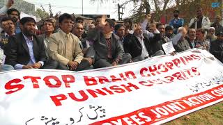 Watch EJAC protests against braid chopping in Srinagar Video