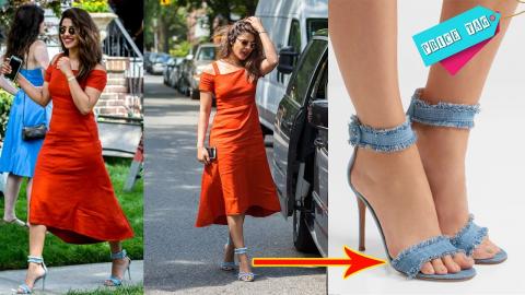 Watch Price Tag: Priyanka's Gianvito Rossi Sandals PRICE Will SHOCK You Video
