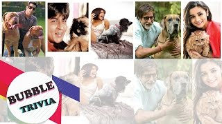 Watch Bollywood Stars And Their Pets Video