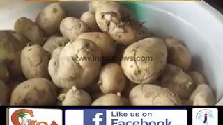 Watch Low Quality Vegetables At Horticulture Outlet Due To Weather Video
