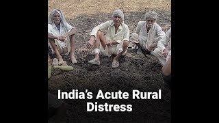 Watch India's farmers are hurting Does Modi Govt have a coherent plan to address the agricultural sector? Video