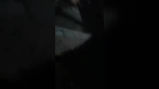 Watch Srinagar Militant attack caught on Camera Video