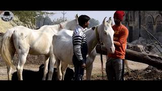 Watch à¤œà¥à¤—à¤¾à¥œà¥€ à¤¯à¤¾à¤° à¥¤ JUGADI YAAR    à¥¤ DABAS FILMS à¥¤ HARIYANVI COMEDYà¥¤ Video