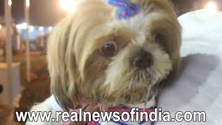 Watch Ped Fed Dog Show in Mumbai 2017 Video