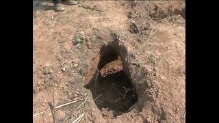 Watch A Tunnel Through International Border Discovered In RS Pura Video