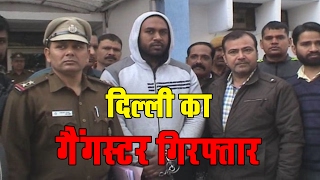 Watch GANGSTER ARRESTED In Delhi!!  à¤¦à¤¿à¤²à¥à¤²à¥€ à¤ªà¥à¤²à¤¿à¤¸ à¤¨à¥‡ à¤¦à¤¿à¤²à¥à¤²à¥€ à¤•à¥‡ à¤•à¥à¤–à¥à¤¯à¤¾à¤¤ à¤—à¥‡à¤‚à¤—à¤¸à¥à¤Ÿà¤° à¤•à¥‹ à¤•à¤¿à¤¯à¤¾ à¤—à¤¿à¤°à¤«à¥à¤¤à¤¾à¤° Video