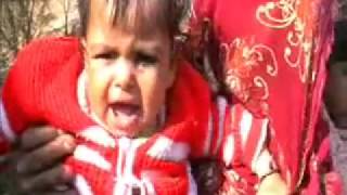 Watch Milk Factory prdarshan nuh by reporter liyakat ali Video