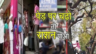 Watch Rajasthan village, where one has to climb tree for ration | à¤ªà¥‡à¥œ à¤šà¥à¥‹ à¤¤à¥‹ à¤°à¤¾à¤¶à¤¨ à¤ªà¤¾à¤“ |  à¥¤ Video