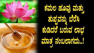 Watch à²•à²®à²²à²¦ à²¹à³‚à²µà³ à²®à²¤à³à²¤à³ à²œà³‡à²¨à³ à²¤à³à²ªà³à²ªà²µà²¨à³à²¨à³ à²¸à³‡à²°à²¿à²¸à²¿ à²¸à³‡à²µà²¿à²¸à²¿à²¦à²°à³† à²¬à²°à³à²µ à²²à²¾à²­ | Kannada Health Tips Video